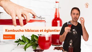 Recette de kombucha hibiscus et baie déglantier [upl. by Omor932]