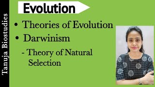 Theories of Evolution  Darwinism  Theory of Natural Selection  Struggle for ExistenceNEETAIIMS [upl. by Gilly]