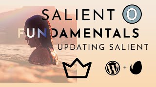 How to Update Salient Wordpress Theme 2022 EASY ONE CLICK METHOD [upl. by Akirdnuhs392]