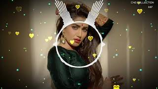 Bewafa Bewafa Bewafa Nikli Hai Tu Tiktok Dj Remix  Tiktok Trending New song  CND Collection [upl. by Hamforrd]