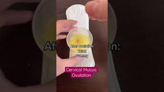 Discharge Am I normal Cervical mucus changes during ovulation shorts [upl. by Bohon575]