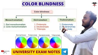 Color Blindness  Special Sense Physiology [upl. by Amme]