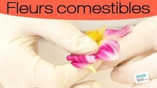 Astuces pour réaliser des pétales de fleurs cristallisés [upl. by Dunseath962]