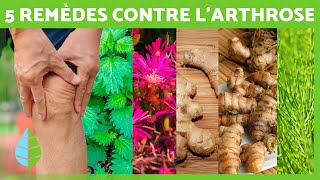 5 PLANTES CONTRE LARTHROSE 🌿✅ Remèdes naturels contre larthrose [upl. by Magnolia677]