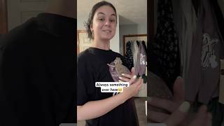 Crazy ALL the time😵‍💫 cutepets reptiles lizard beardeddragon petlizard [upl. by Aliam]