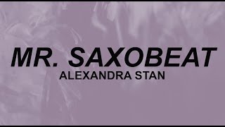 Alexandra Stan  quotMr Saxobeatquot  hey sexy boy set me free  TikTok [upl. by Demmy]