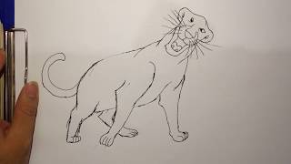 Bagheera  How to draw Bagheera from Jungle book quickly and easy [upl. by Dauf811]