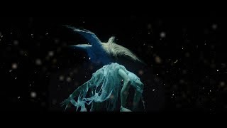 ALCEST  Protection OFFICIAL MUSIC VIDEO [upl. by Ateerys]