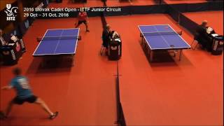 Fabio RAKOTOARIMANANA FRA Vs Arttu PIHKALA FIN  Slovak open 2016  Table tennis [upl. by Blynn94]