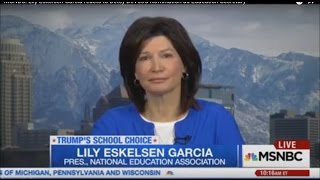 MSNBC Lily Eskelsen García reacts to Betsy DeVoss Nomination as Education Secretary [upl. by Southard]