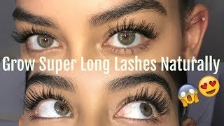 HOW TO GROW YOUR LASHES NATURALLY [upl. by Neelhtac]