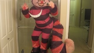 Cheshire Cat Costume [upl. by Ynogoham]