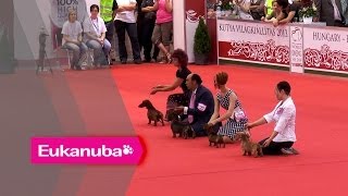 World Dog Show 2013  Group IV Judging [upl. by Jerrine968]