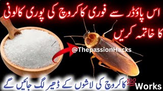 Mosquito  lizard cockroach mouse TrapHow To Get Rid of Cockroaches in Kitchen and home [upl. by Sukhum]