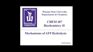 CHEM 407  ATP Hydrolysis Mechanisms [upl. by Renado]