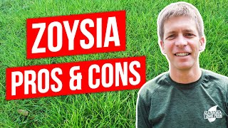 Zoysia Grass Lawn Pros Cons and Tips [upl. by Annirok]