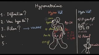 Hyponatrémie en 5 étapes  Docteur Synapse [upl. by Ambrosia997]