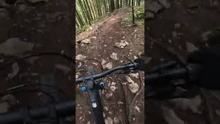 Un peu de speed pour se défouler mtb enduro downhill [upl. by Nylra97]