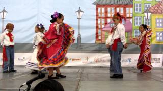 El son de la negra en expo guadalajara [upl. by Stephana]