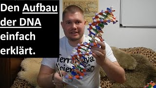 Den Aufbau der DNA einfach erklärt  Wie ist die DNA aufgebaut [upl. by Lawrenson]