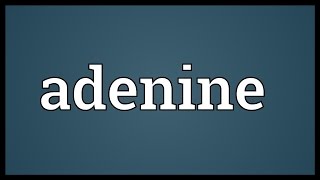 Adenine Meaning [upl. by Ateuqram]