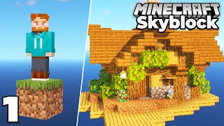 Minecraft Skyblock but its One Block 1 Starter house [upl. by Yuji112]