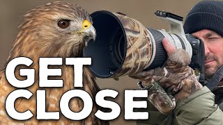 Top Secrets to Get Closer to Birds for Incredible Photography [upl. by Susejedairam525]