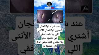 ستوريات​ انستا حالات وتس اب اقوال توماس شيلبي قصص واقعيه حقائق ومعلومات shorts​ ستوريات​ادولف [upl. by Ioved]