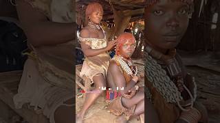 Crazy marriage ceremony of hammar tribe in Ethiopia thepaktrekker [upl. by Runkle]