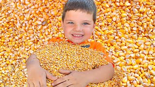 CALEB GOES to THE PUMPKIN PATCH Kids Trip to the Farm with Halloween Pumpkins and PETTING ZOO [upl. by Nyra558]