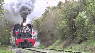 Tren de la Araucania y El ValdivianoGuerra de Silbatos [upl. by Yelik260]