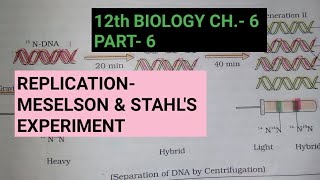 Class 12 biology chapter 6part 6RNA worldReplicationby study with Farru [upl. by Yclek]