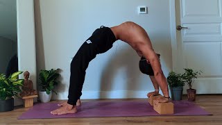 Best Shoulder Mobility Exercises  Chest Opener Yoga Sequence Follow Along [upl. by Trina]