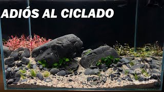 ¡NO MAS CICLADO A OSCURAS LLEGARON LAS PLANTAS PARA EL ACUARIO [upl. by Tega513]