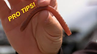 Winter Wacky Rig Worm Catch 10x MORE Bass  Bass Fishing [upl. by Serolod]