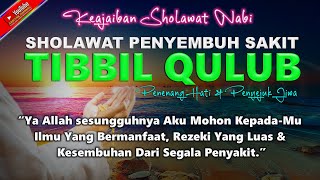 Sholawat Nabi Penyembuh Penyakit Sholawat TIBBIL QULUB SYIFA Merdu Yang Menyejukkan Hati amp Pikiran [upl. by Pitarys141]