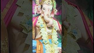 Tuk Muk Dole 😍ganpatibappamorya mumbai maharashtra music trending shorts youtubeshorts [upl. by Mclyman]