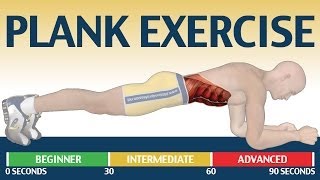 How to Plank exercise  The Ultimate Fitness Guide [upl. by Skier20]