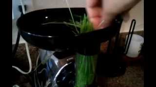 Juicing Wheatgrass with the Omega 8006 Juicer [upl. by Rot]