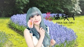 Jemma  Hana Wa Saku 花は咲くFlowers Will Bloom [upl. by Alema401]