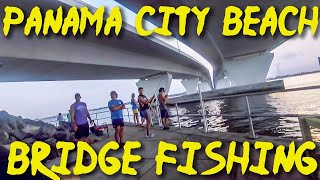 Dropping Shrimp for HUGE FISH at Hathaway Bridge  Panama City Beach Kayak Fishing [upl. by Esaertal826]