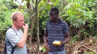 Visiting a cocoa farm in the Ivory Coast  Part 1 [upl. by Eldora]