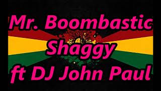 Mr Boombastic REGGAE  Shaggy  DJ John Paul [upl. by Desiri425]