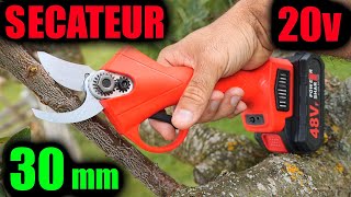 sécateur sans fil 20V de jardin à batterie Aliexpress Amazon 30mm 20V type Bosch EasyPrune [upl. by Enylrac]