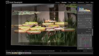 Lightroom Crop Guide Overlays [upl. by Folberth33]