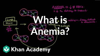 What is anemia  Hematologic System Diseases  NCLEXRN  Khan Academy [upl. by Ide]