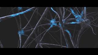 Synapse system Artistic procedural organic animation Houdini FX [upl. by Bogusz]