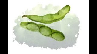 How to Save Pea Seeds [upl. by Acinoed]