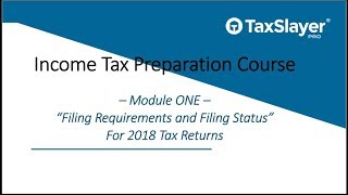 Filing Status and Filing Requirements for Tax Returns [upl. by Gnahc]