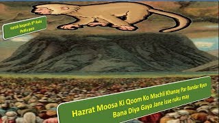 surah baqarah with urdu translation and Hindi tafseer part 8 by Kanzul Imaan Aao Quran Samjhe [upl. by Pinkham]